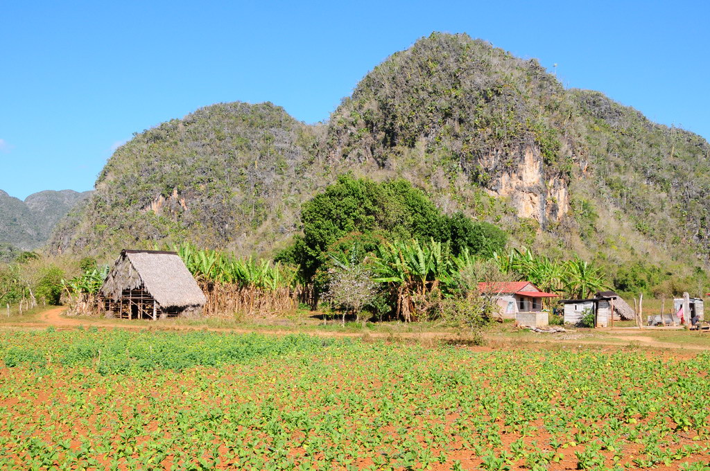 Viñales Region