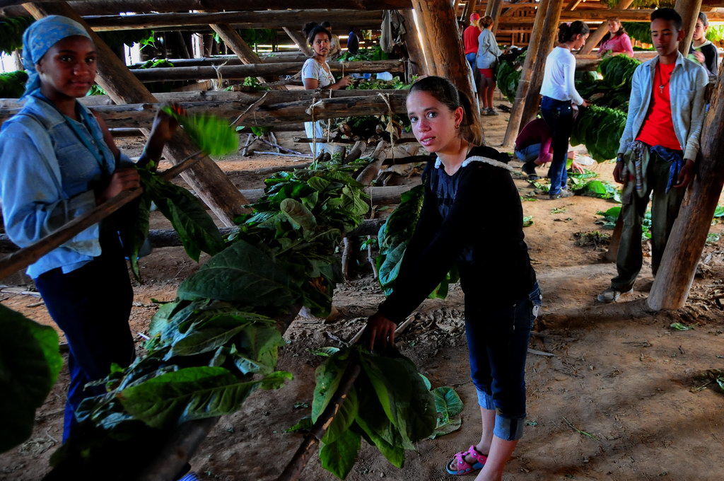 Scholarship at the Farm