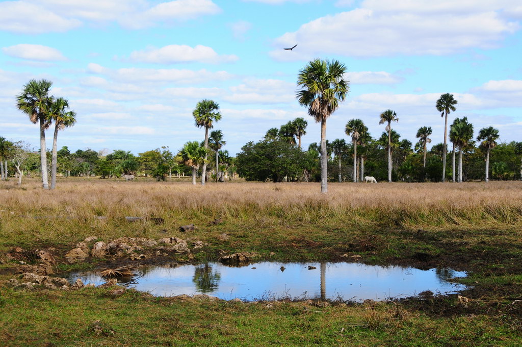 Peninsula de Zapata