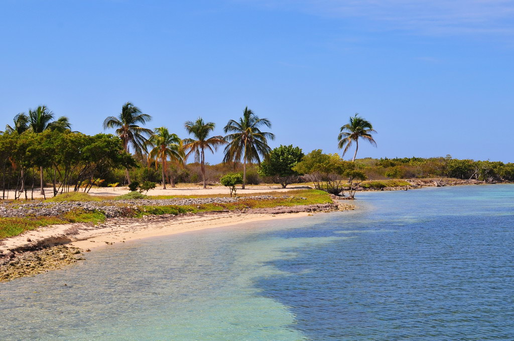 Cayo Iguana