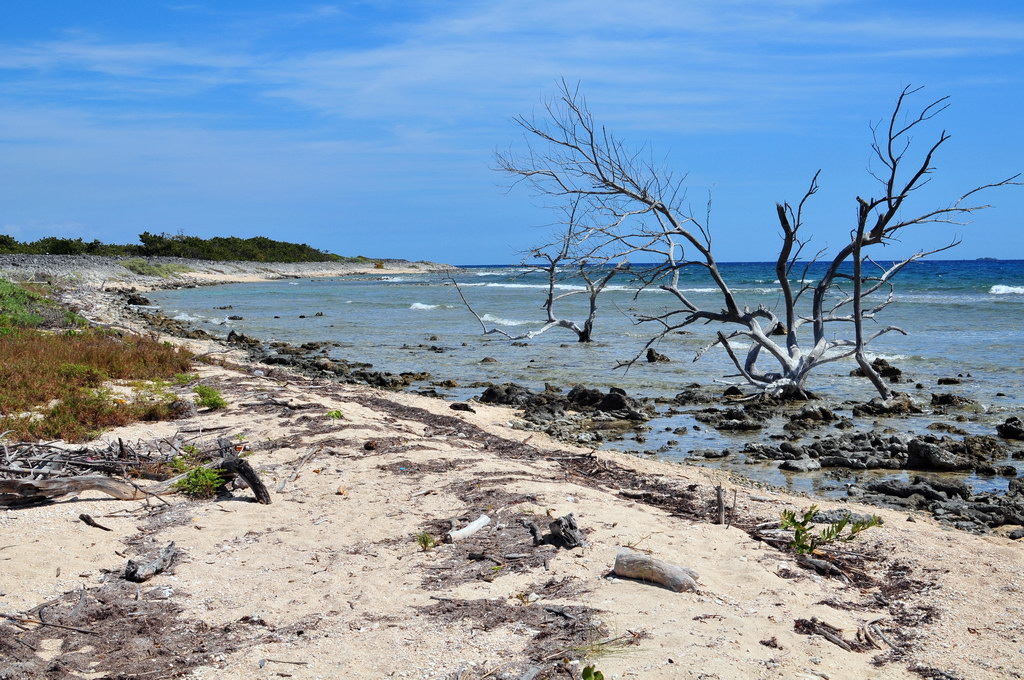 Cayo Iguana