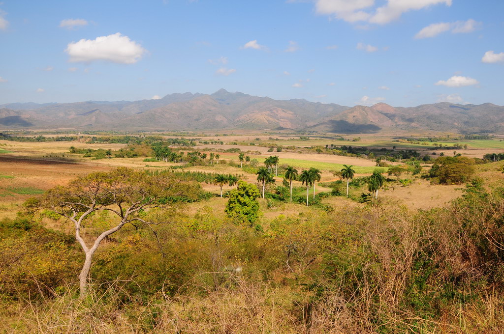 Valle de los Ingenios